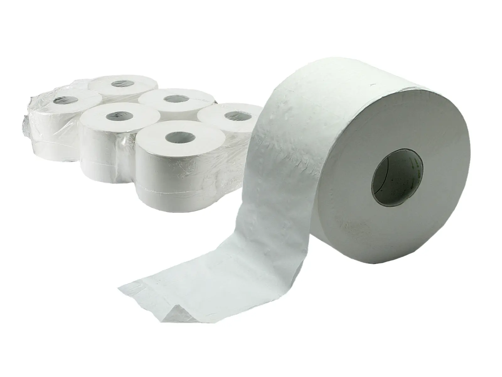 Toilettenpapier 2-lagig, 350m, 6er Pack